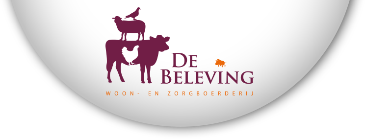 De Beleving Logo