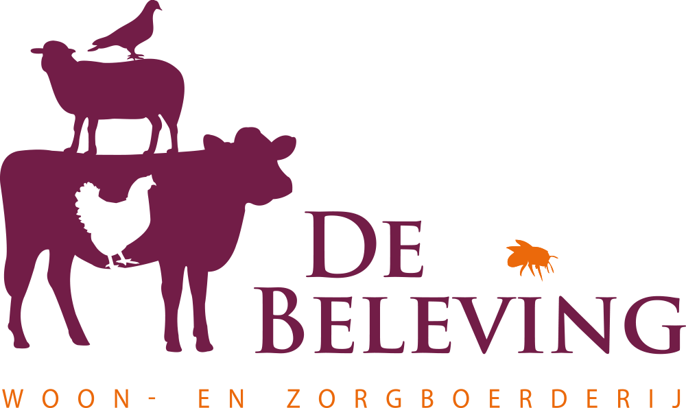 De Beleving Logo